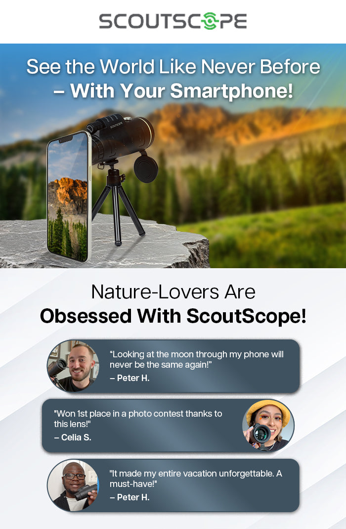 ScoutScope (Perfect For Creators!)